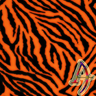 Xperien Tiger Theme иконка