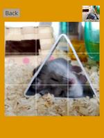 Hamster Slider Puzzle imagem de tela 3