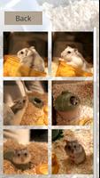 Hamster Slider Puzzle 截图 1