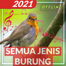 Suara Pikat Semua Burung Ribut APK