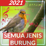 Suara Pikat Semua Burung Ribut