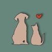Petto APK