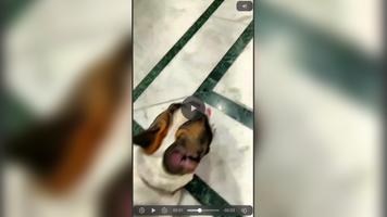iVideo : iOS Video player screenshot 1