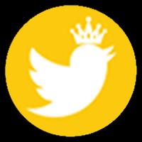 Twitter Plus Gold captura de pantalla 1