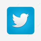 Twitter+ ikona