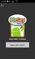 برنامه‌نما PicSay Pro عکس از صفحه