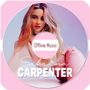 Sabrina Carpenter - Offline Music APK