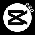Capcut Pro