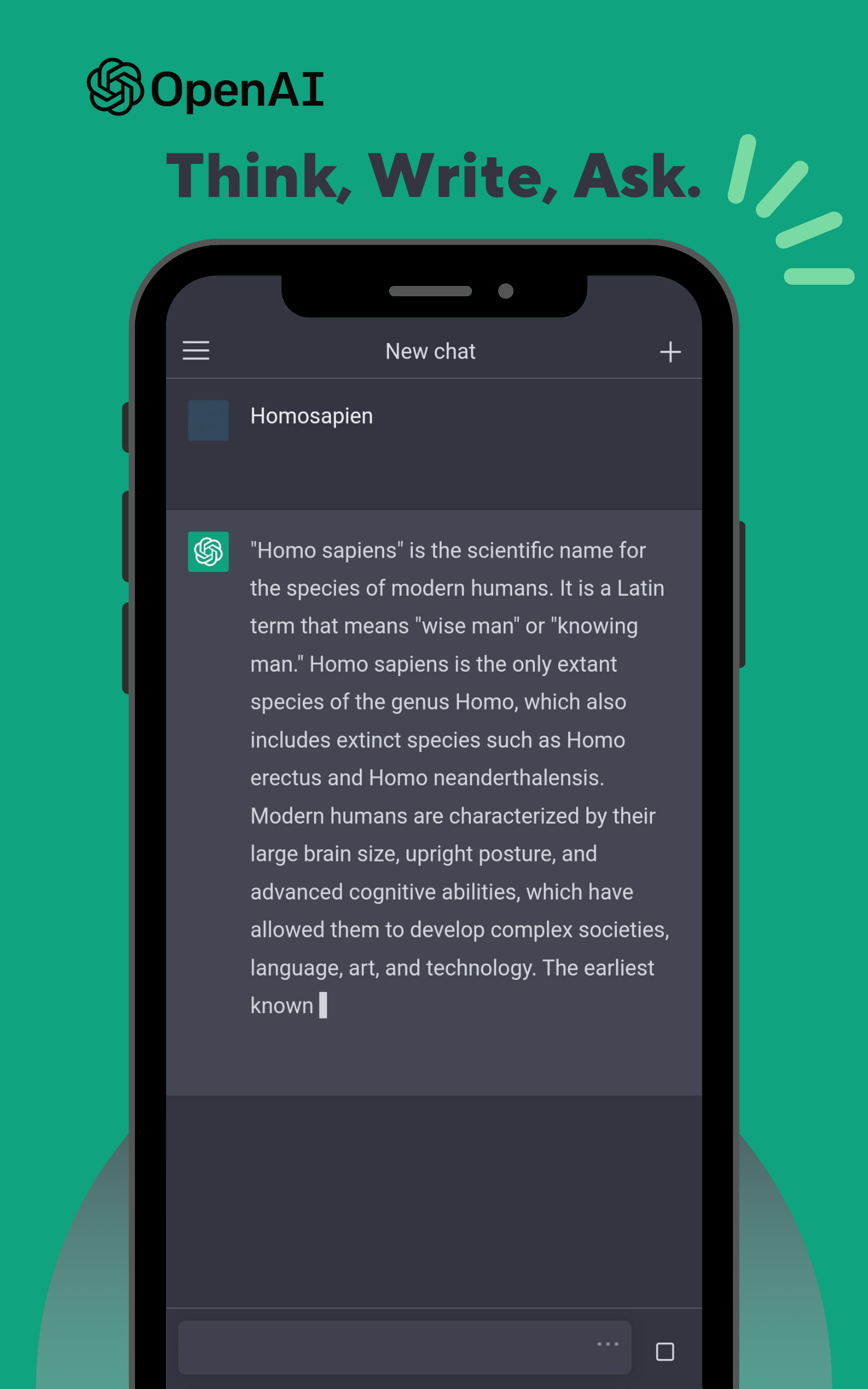OpenAI screenshot 4
