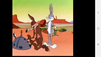 Looney Tunes Cartoon Video Series Poster