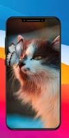 Besty Wallpaper - 4K backgrounds wallpapers HD screenshot 2