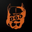 DOG & Grand CrossFit