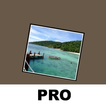 Photo Widget +