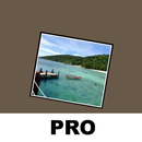 Photo Widget + APK