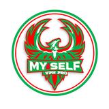 MYSELF VPN  PRO أيقونة