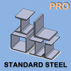 Standard Steel Pro icône