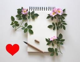 ❤️️🌙 Frases de boa noite amor com musicas de amor Ekran Görüntüsü 2