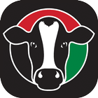 Italian Dairy Products UAE icône