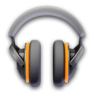 DELMI RADIO 24HS APK