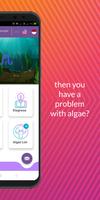 Algae Expert : Algae Aquascape capture d'écran 1
