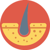 Dermatology APK