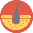 Dermatology APK