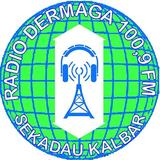 Radio Dermaga Fm Sekadau-icoon