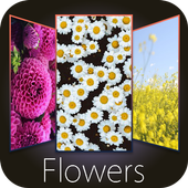 Flowers Wallpaper  icon