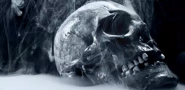 Scary Skull HD Wallpapers