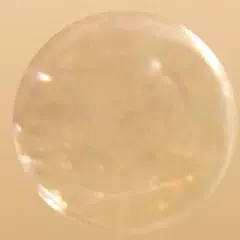 MrPuchiPuchi