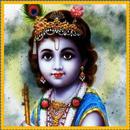 Krishna Bhajan Suniye APK