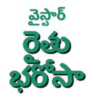 YSR Rythu Bharosa Info icon