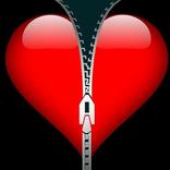 Chat heureux divorcé