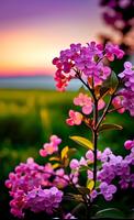 Flower Video Wallpaper скриншот 2