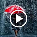 Rain Video Wallpapers APK