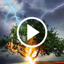 Thunder Video Wallpapers APK