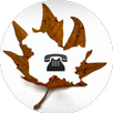 Dial Kashmir APK
