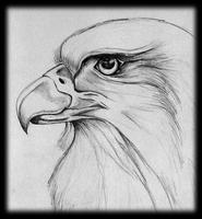 Learn to draw pencil drawings easily screenshot 1