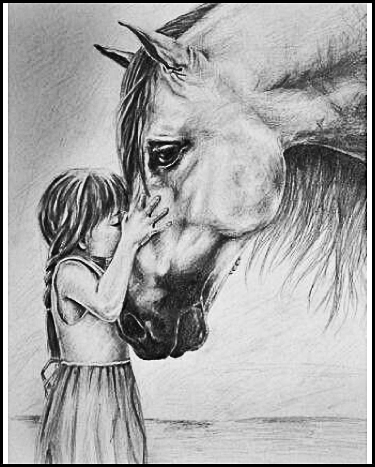 Рисунки. Лошадь карандашом. Красивые рисунки карандашом. Лошадь рисунок карандашом. Рисунки с Каран красивые.