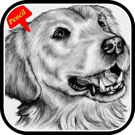 500+ 3D pencil drawings. Learn to draw 3d