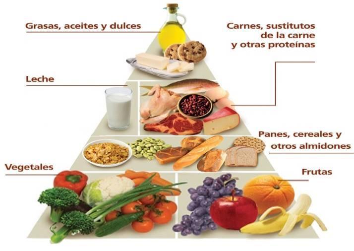 Comida alta en proteínas