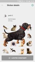 1 Schermata Autocollants des races des chiens WAStickerApps