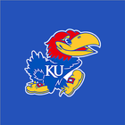 Kansas Jayhawks icône