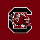 South Carolina Gamecocks أيقونة