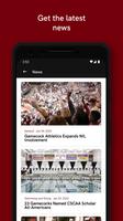 South Carolina Gamecocks screenshot 3