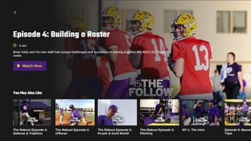 LSU GOLD imagem de tela 2