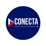 Conecta FGI