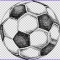 DIGNIFIED SPORTING