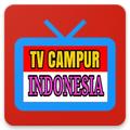 TV Campur Indonesia