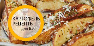 Рецепты из картофеля